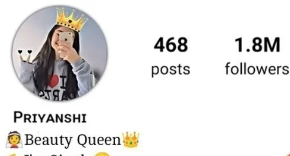 Stylish Instagram Bio