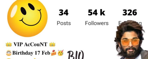 Short Instagram Bio for Boys