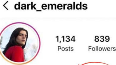 Instagram Pronouns for Girl