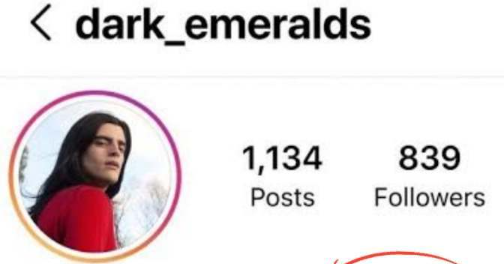 Instagram Pronouns for Girl