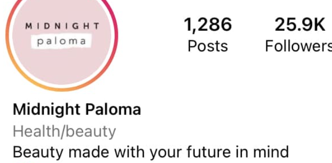 Bio Instagram