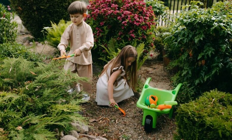 digital growth development tools