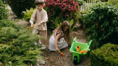 digital growth development tools