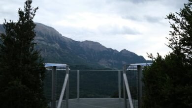 elevate online service platform