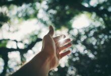 expand your digital reach platform