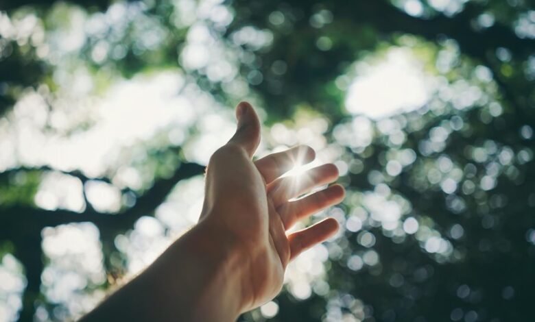 expand your digital reach platform