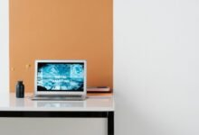 grow your business digitally online