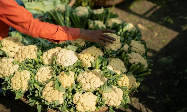 grow your online reach marketing experts