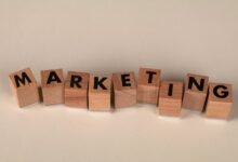 increase business reach with marketing experts