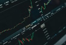 scale your business growth platform